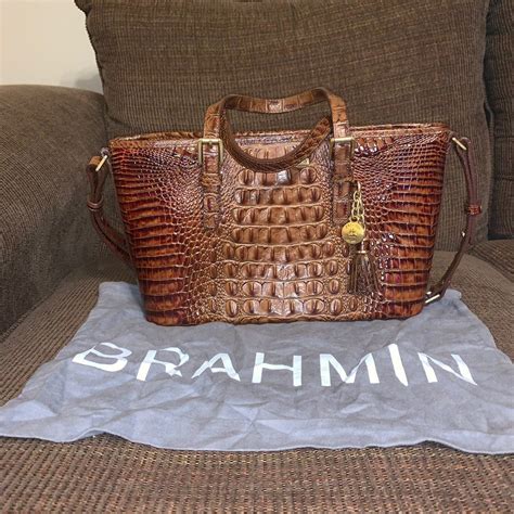 is brahmin real alligator